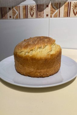 Ev yapımı buğday ekmeğini fırında hazırlıyorum.