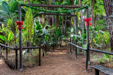 MARBELLA, İspanya - 4 Ocak 2024: Marbella, İspanya 'daki Amazonia parkında halat tırmanışı