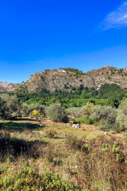 Sonbahar ormanlarında yürüyüş yolu, Sierra de Las Nieves Ulusal Parkı, İspanya