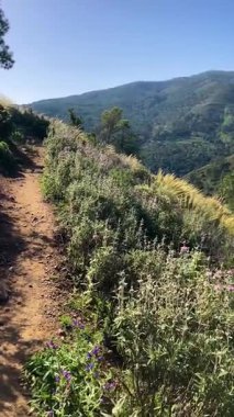 Caballos nehri üzerindeki şelalelere doğru yürüyüş yolu Tolox, Malaga, İspanya 'daki Sierra de la Nieves Ulusal Parkı