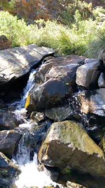 Caballos nehri üzerindeki şelalelere doğru yürüyüş yolu Tolox, Malaga, İspanya 'daki Sierra de la Nieves Ulusal Parkı