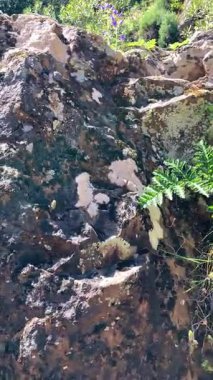 Caballos nehri üzerindeki şelalelere doğru yürüyüş yolu Tolox, Malaga, İspanya 'daki Sierra de la Nieves Ulusal Parkı