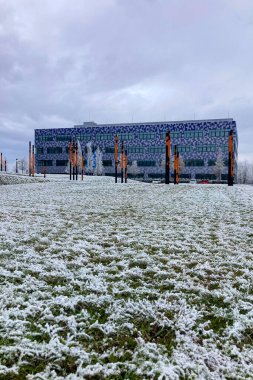 MUNİK, Almanya - 2 ARALIK 2024 Münih Garching Teknik Üniversitesi kampüsünde dondurucu sabah