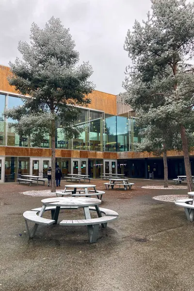 MUNİK, Almanya - 2 ARALIK 2024 Münih Garching Teknik Üniversitesi kampüsünde dondurucu sabah