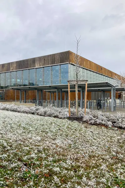 MUNİK, Almanya - 2 ARALIK 2024 Münih Garching Teknik Üniversitesi kampüsünde dondurucu sabah