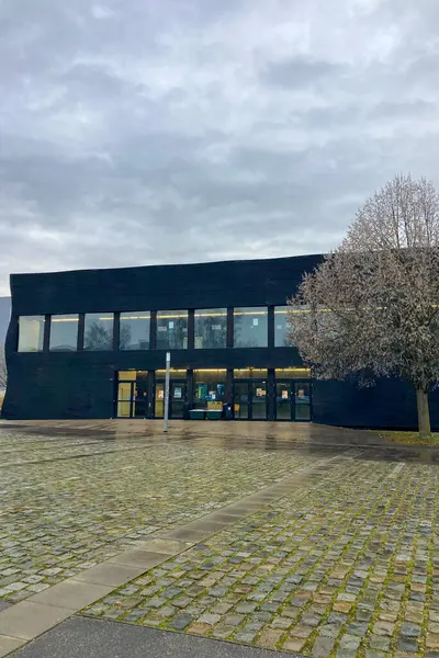 MUNİK, Almanya - 2 ARALIK 2024 Münih Garching Teknik Üniversitesi kampüsünde dondurucu sabah