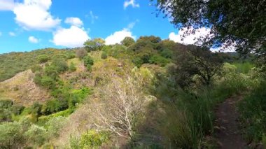 Sierra de las Nieves Ulusal Parkı 'ndaki Genal Vadisi' nin muhteşem manzarası, Endülüs, Güney İspanya