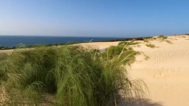 Valdevaqueros Dune, İspanya 'nın Cebelitarık Boğazı boyunca Tarifa' da bulunan büyüleyici bir kum tepesidir.