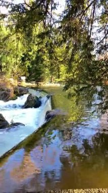 İngiliz bahçesi (Englischer Garten) Münih, Bavyera 'da şehir merkezinden kuzeydoğu şehir sınırlarına kadar uzanan büyük bir halk parkı.