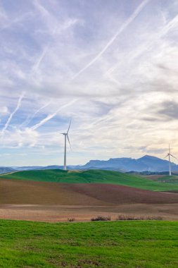 Arpa tarlasında duran bir yel değirmeni, rüzgarda yavaşça dönen bıçakları, Endülüs, İspanya
