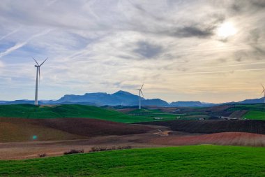 Arpa tarlasında duran bir yel değirmeni, rüzgarda yavaşça dönen bıçakları, Endülüs, İspanya