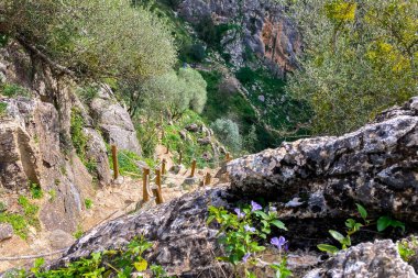İspanya 'nın Endülüs Bölgesi' nin Malaga ilindeki Montejaque barajına (Presa de Montejaque) ve Hundidero mağarasına yürüyüş
