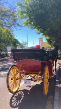 MALAGA, İspanya - 29 Mart 2025: Malaga, İspanya şehir merkezinde yürüyüş