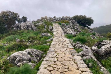 Guarda Ormanı bakış açısı, İspanya 'nın Malaga eyaletinin El Burgo belediyesine bağlı doğal manzaralı bir güzelliktir.