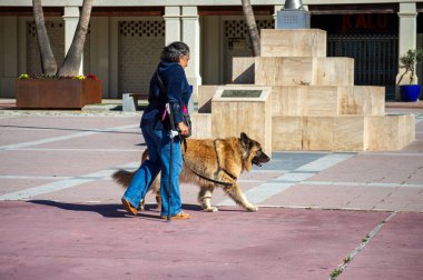 NERJA, İspanya - 22 Mart 2025: İspanya Meydanı, 22 Mart 2025 tarihinde İspanya 'nın Nerja kentinde nefes kesici manzaralar ve pitoresk bir atmosfer sunmaktadır.