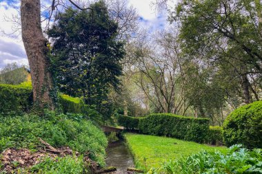 Atlantik Botanik Bahçesi, Gijon, Asturias, İspanya 'da yemyeşil, doğal bitki örtüsü ve huzurlu yürüyüş yollarıyla dolu muhteşem manzaralar sunar.