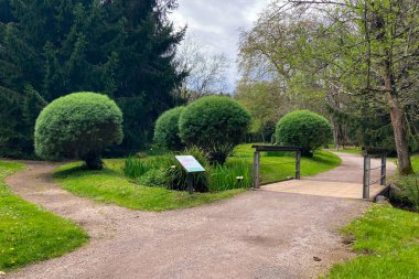 Atlantik Botanik Bahçesi, Gijon, Asturias, İspanya 'da yemyeşil, doğal bitki örtüsü ve huzurlu yürüyüş yollarıyla dolu muhteşem manzaralar sunar.