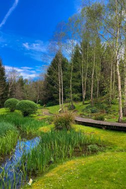 Atlantik Botanik Bahçesi, Gijon, Asturias, İspanya 'da yemyeşil, doğal bitki örtüsü ve huzurlu yürüyüş yollarıyla dolu muhteşem manzaralar sunar.