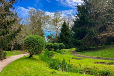 Atlantik Botanik Bahçesi, Gijon, Asturias, İspanya 'da yemyeşil, doğal bitki örtüsü ve huzurlu yürüyüş yollarıyla dolu muhteşem manzaralar sunar.