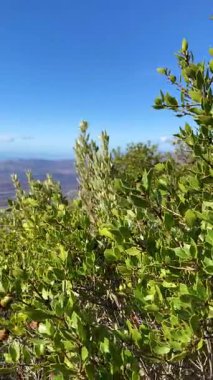 Panoramik manzara, Mijas zirvesine çıkan manzaralı yürüyüş yolundan yayılıyor ve Endülüs, Malaga, İspanya 'nın büyüleyici manzaralarını gözler önüne seriyor.