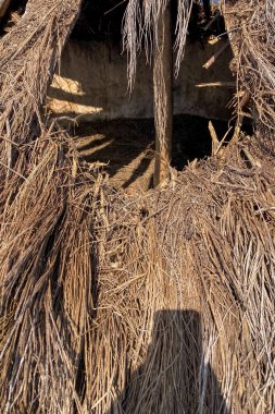 GIJON, İspanya - 7 Nisan 2025: La Campa Torres Arkeolojik Doğal Parkı, Gijn, Asturias, İspanya 'daki manzaralı kıyı manzaraları arasında Roma ve Roma öncesi yerleşimlere büyüleyici bir bakış sunuyor.