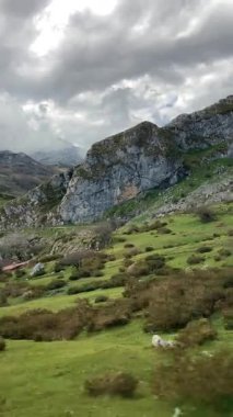 İspanya 'nın Asturias kentindeki Picos de Europa dağlarında yuva yapmış pitoresk Covadonga Gölleri nefes kesici doğal güzellik ve sükunet sunuyor.