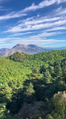 Puerto Saucillo bakış açısından başlayarak, çam ormanlarında yürüyüş yaparak Sierra de las Nieves Ulusal Parkı, Yunquera, Endülüs, İspanya