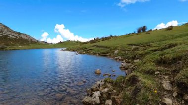 İspanya 'nın Asturias kentindeki Picos de Europa dağlarında yuva yapmış pitoresk Covadonga Gölleri nefes kesici doğal güzellik ve sükunet sunuyor.