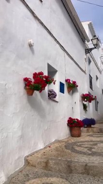 FRIGILIANA, SPAIN - 10 Mayıs 2025: Frigiliana, İspanya 'da beyazlatılmış evler ve renkli çiçeklerle çevrili büyüleyici dar sokaklarda huzurlu bir yürüyüş