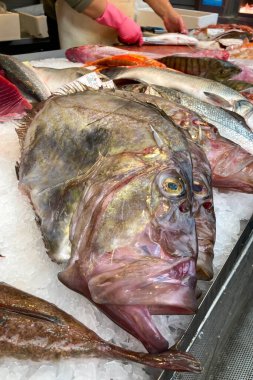 MALAGA, İspanya - 29 Mart 2025: Atarazana Merkez Pazarı, Malaga, İspanya 'da taze yerel ürünleri, deniz ürünleri ve canlı atmosferiyle bilinen canlı ve tarihi bir pazardır.