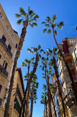 MALAGA, İspanya - 29 Mart 2025: Malaga, İspanya şehir merkezinde yürüyüş