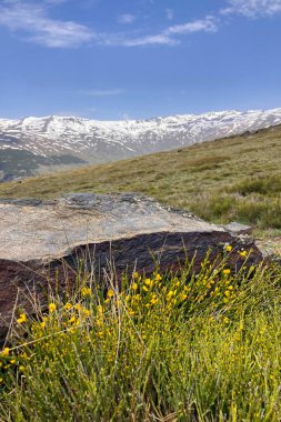 Sierra Nevada Ulusal Parkı, İspanya 'da bahar aylarında Mulhacen tepesine yürüyüş yolu.