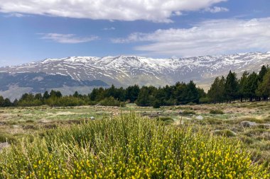Sierra Nevada Ulusal Parkı, İspanya 'da bahar aylarında Mulhacen tepesine yürüyüş yolu.