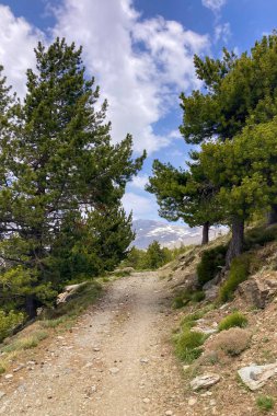 Sierra Nevada Ulusal Parkı, İspanya 'da bahar aylarında Mulhacen tepesine yürüyüş yolu.