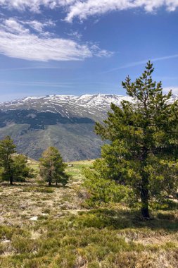 Sierra Nevada Ulusal Parkı, İspanya 'da bahar aylarında Mulhacen tepesine yürüyüş yolu.