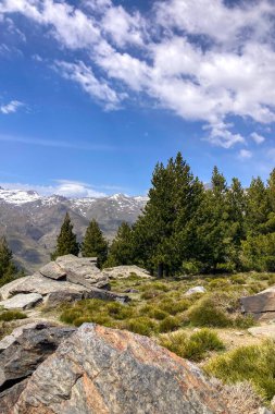Sierra Nevada Ulusal Parkı, İspanya 'da bahar aylarında Mulhacen tepesine yürüyüş yolu.