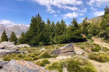 Sierra Nevada Ulusal Parkı, İspanya 'da bahar aylarında Mulhacen tepesine yürüyüş yolu.