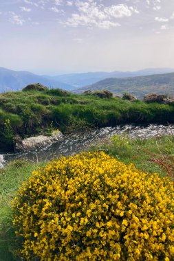 İlkbaharda eriyen kardan akan su akıntısı, Sierra Nevada, Endülüs, İspanya