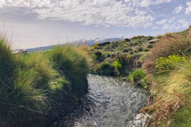 İlkbaharda eriyen kardan akan su akıntısı, Sierra Nevada, Endülüs, İspanya
