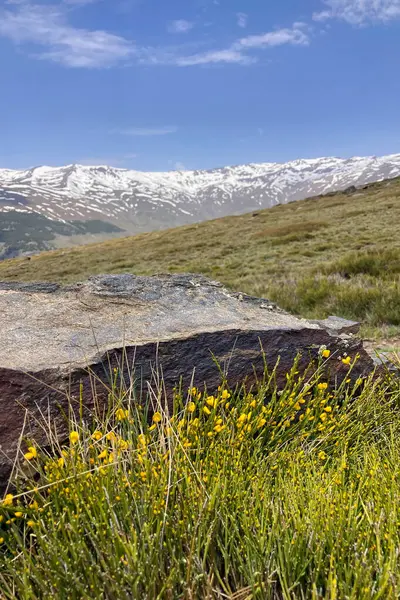 Sierra Nevada Ulusal Parkı, İspanya 'da bahar aylarında Mulhacen tepesine yürüyüş yolu.