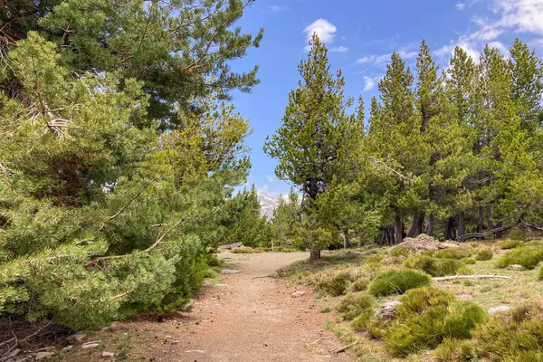 Sierra Nevada Ulusal Parkı, İspanya 'da bahar aylarında Mulhacen tepesine yürüyüş yolu.