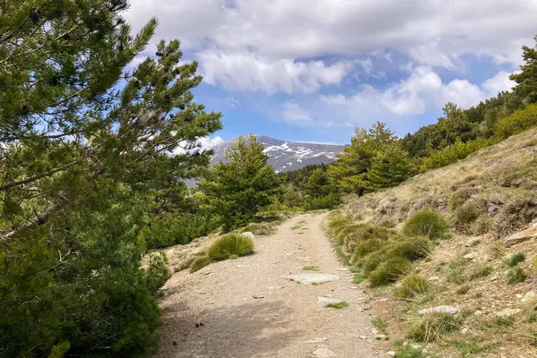 Sierra Nevada Ulusal Parkı, İspanya 'da bahar aylarında Mulhacen tepesine yürüyüş yolu.