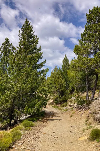 Sierra Nevada Ulusal Parkı, İspanya 'da bahar aylarında Mulhacen tepesine yürüyüş yolu.