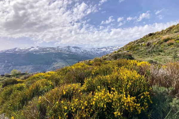 Sierra Nevada Ulusal Parkı, İspanya 'da bahar aylarında Mulhacen tepesine yürüyüş yolu.