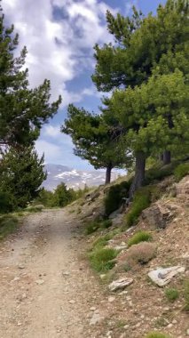 Sierra Nevada Ulusal Parkı, İspanya 'da bahar aylarında Mulhacen tepesine yürüyüş yolu.