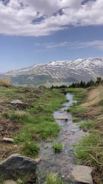 İlkbaharda eriyen kardan akan su akıntısı, Sierra Nevada, Endülüs, İspanya