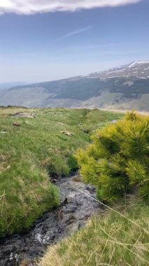 İlkbaharda eriyen kardan akan su akıntısı, Sierra Nevada, Endülüs, İspanya