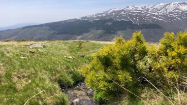 İlkbaharda eriyen kardan akan su akıntısı, Sierra Nevada, Endülüs, İspanya