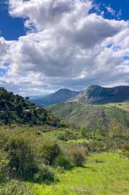 Sierra Tejeda Doğal Parkı 'nda çarpıcı manzaralar ve barışçıl doğa deneyimleri sunan doğa, yürüyüş yollarını çevrelemektedir.