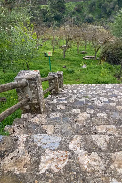 SIERRA TEJEDA PARK, SPAIN - 19 Nisan 2025: Sierra Tejeda Doğal Parkı, İspanya 'da çarpıcı manzaralar ve barışçıl doğa deneyimleri sunan yürüyüş yollarını çevreleyen manzara